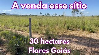 A venda esse sítio de 30 hectares  Flores Goiás NÚMERO NOVO 61 99056041 [upl. by Padriac488]