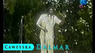 Cabdi Tahliil Warsame Ahun  Heesta Saaqa [upl. by Augustine]