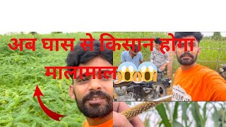 क्या घास से किसान लाखों रुपये बचा सकता है 😱😱😱 [upl. by Anawit]