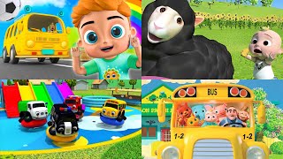 Cabeza Hombros Rodillas Pies por Cutians Head Shoulders Knees amp Toes  ChuChu TV Cutians [upl. by Bevvy654]