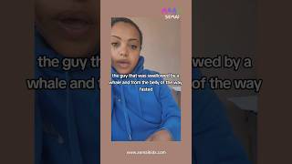 🐳 Learn hundreds of Tigrinya words with LILO ።👉🏾On semaikidscom ። CULTUREISCOOL [upl. by Laehcor90]