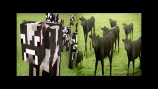 Cows amp cows amp cows VS Minecraft cows amp Minecraft cows amp Minecraft cows [upl. by Slavic981]