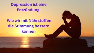 Depression ist eine Entzündung Vollständiges Referat auf der OnlineFachtagung vom 71123 [upl. by Ailat]