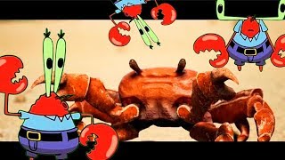 KrabsStorm  Krab Borg Rave Crab Rave Mr Krabs remix [upl. by Gwynne]