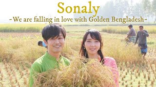 সোনালি  Sonaly  জাপানী ব্যান্ডের মুখে বাংলা গান  Original Song by Shunsuke amp Mae Watanabe [upl. by Olenolin]