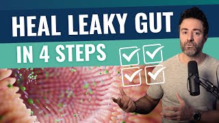 The 4 MOST Effective Leaky Gut Treatments [upl. by Anaila631]