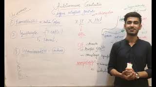 Lecture 08 Part 02 Chronic GastritisAutoimmune Gastritis  Special Pathology  Dr Saad Qureshi [upl. by Hiram]