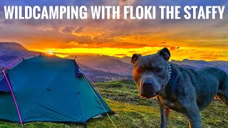 Wildcamping in the Lake District Black Crag Stunning sunset [upl. by Fauch]