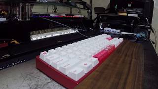 Varmilo MIYA PRO SE Cherry MX Silent Red 바밀로 미야 프로 한정판 체리 저소음 적축 [upl. by Enneibaf]