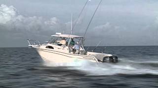 GradyWhite MARLIN 300  30 Walkaround Cabin [upl. by Acireed]