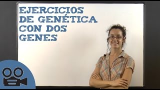 Ejercicios de genética con dos genes [upl. by Alex287]