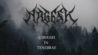 Argesk  Liberari in Tenebrae Demo 2017 [upl. by Auoh]