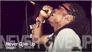 Zagga  Never Give Up Tropical Escape Riddim Dec 2012 [upl. by Mundy]