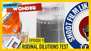 Testing Rodinal Dilutions with Ilford Ortho under Safelight [upl. by Cox]