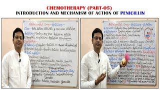 Chemotherapy of Antibiotics Part05 Penicillin 01 Introduction amp Classification  Antibiotics [upl. by Leumek]