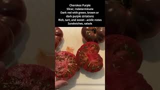 Cherokee Purple Tomatoes Unique Heirloom Variety [upl. by Trisha]