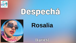 Rosalía  Despechá LetraLyrics [upl. by Dej216]