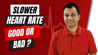 Does Slower Heart Rate Mean Better Fitness [upl. by Pol24]