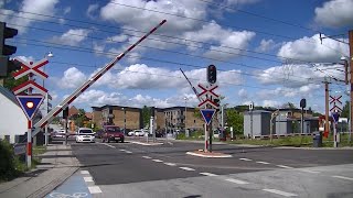 Spoorwegovergang Haslev DK  Railroad crossing  Jernbaneoverskæring [upl. by Bratton697]