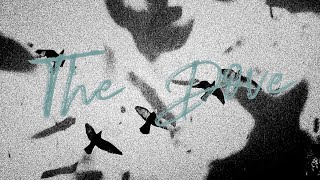 The Dove Lyric Video  The Belonging Co Kari Jobe [upl. by Jordana]