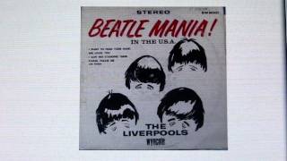 quotWhenever Im Feeling Lowquot The Liverpools from the 1964 album quotBeatlemania in The USAquot [upl. by Aicire]