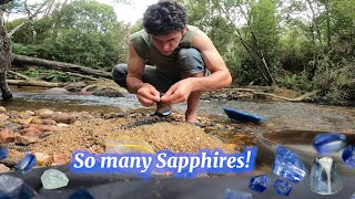 Searching for Sapphires in Tasmania Australia [upl. by Atniuqal401]