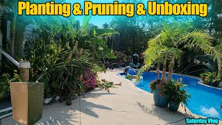 Garden Chores  New Hedge  Unboxing and Planting New Plants From Conifer Kingdom  Saturday Vlog [upl. by Ackler]