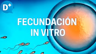 Fecundación in vitro Etapas y resultados [upl. by Notsuoh950]