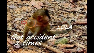 life is precious Poor LOLA was accident 2 time by moto bike but princess lola can escape the danger [upl. by Eustatius]