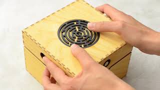 How to open the Apprentice Maze Puzzle Box [upl. by Lydie575]