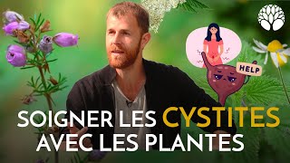 Cystite  infections urinaires quelles plantes utiliser [upl. by Towland701]