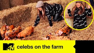 Holly Hagan Gets Full Marks As She Attempts To Separate Piglets  Celebs On The Farm [upl. by Nomyt]