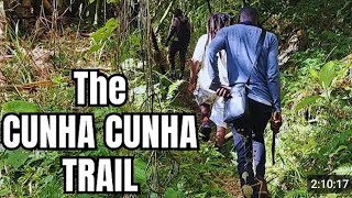 🇯🇲 in side diplos Jamaican paradise 4k rastafarians most epic hike yet cunha cunha pass [upl. by Aldred]