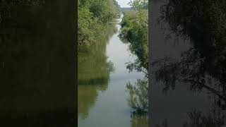 Sakarya Nehri Kenarında Meşhûr quotSakarya Türküsüquot Şiiri 🇹🇷 [upl. by Sregor]