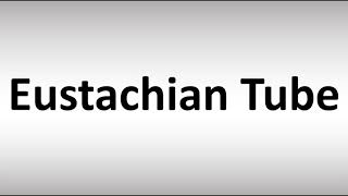 How to Pronounce Eustachian Tube [upl. by Trudey532]