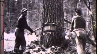 The Wisconsin Loggers 1989  Part 1 A King of the Woods [upl. by Gentes]