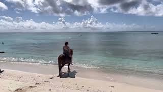 Horse back riding at Pillory beach Grand Turk Carnival Freedom 2022 [upl. by Howie]