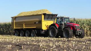 SPEKTAKEL BIJ VAN BAKEL MAIS 2021 CLAAS JAGUAR 990 MASSEY FERGUSON S 8737 USA 2500 CF [upl. by Ellehcyar923]