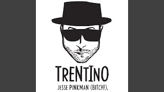 Jesse Pinkman Bitch [upl. by Anirbac]