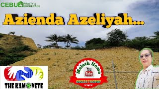 Azienda Azeliyah Development Update Minglanilla Cebu Philippines [upl. by Luhar46]