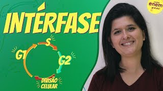 INTÉRFASE  Resumo de Biologia para o Enem [upl. by Ecnesse]