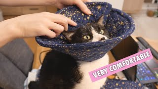 I made my cat soft recovery cones for his surgery [upl. by Linnell]