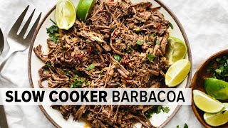 EASY BARBACOA RECIPE  perfect for tacos burritos bowls and salads [upl. by Saber]