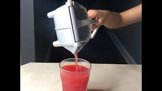 Hand Press Manual Fruit Juicer [upl. by Latsyc]