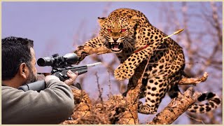 Full Video How Do American Hunters And Farmers Deal With Million Of Wild Boar And Leopard By Guns [upl. by Novyaj]