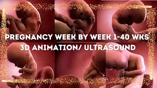 Pregnancy week by week I 3D animation and Ultrasound Fetal development [upl. by Refotsirhc582]