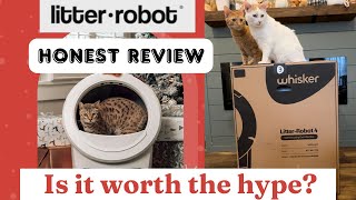 The Best Cat Litter for Litter Robots [upl. by Bernelle622]