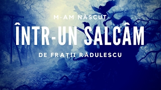 Fratii Radulescu  Mam născut întrun salcâm [upl. by Beckman]