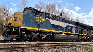 CSX 1836 RFampP Heritage Unit Leads M44223 at Crawford FL [upl. by Jemmie]