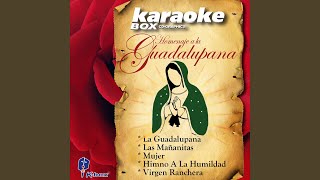 Yo También Soy Morena Karaoke Version [upl. by Rickard]